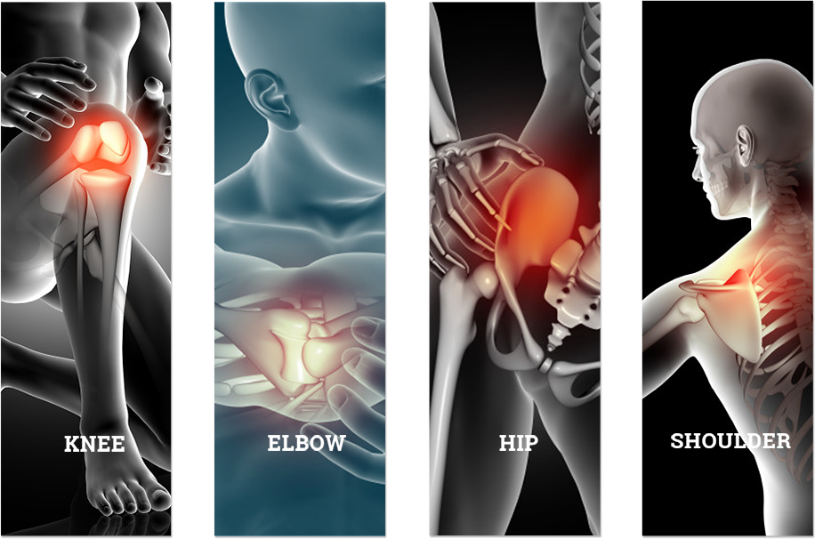 The image of specialities like Knee, Hip, Elbow and Shoulder.